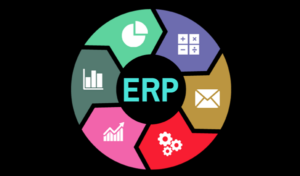 What is ERP Program