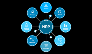 What is MRP Software